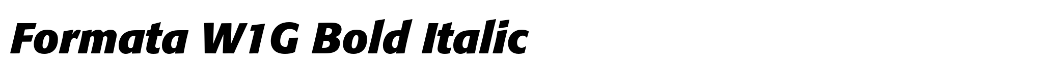 Formata W1G Bold Italic image